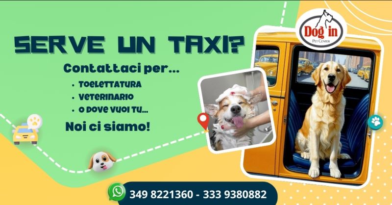  Servizio Taxi per trasporto cani