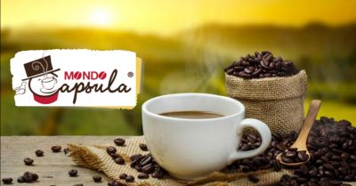 offerta vendita capsule caffe spirulina modena occasione fornitura cialde lucaffe modena