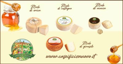 offerta formaggio e miele accostamenti caseificio nuovo