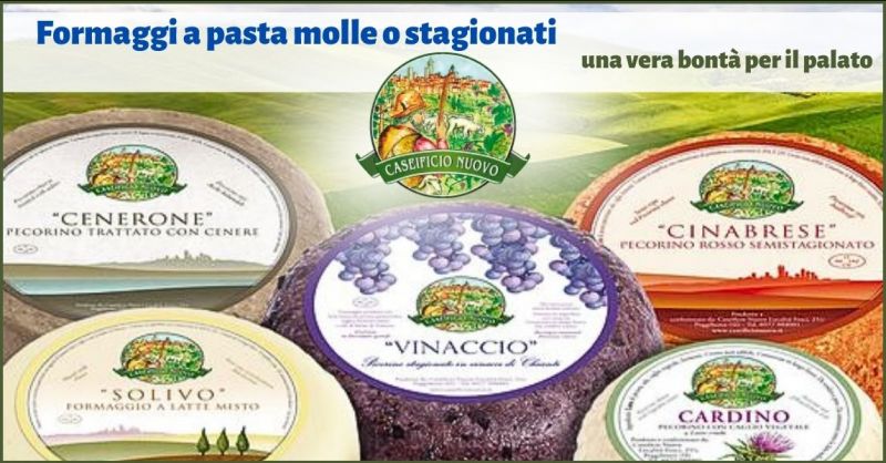 offerta produzione e vendita formaggio Siena - CASEIFICIO NUOVO