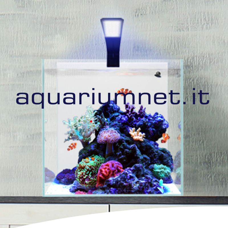 Acquario Completo AQPET Reef Box 40 per Acqua Marina | Acquario Marino