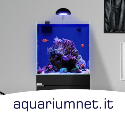 acquario aqpet reef kubic complete 50 marine qualita e innovazione