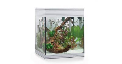  aquarium acquario askoll pure m