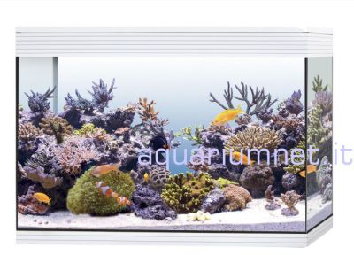  acquario marino askoll pure marine xl hc led