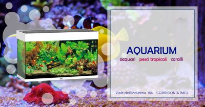 offerta prodotti manutenzione acquario macerata occasione vendita acquari macerata