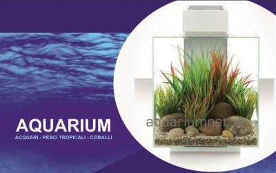 offerta vendita acquario dacqua dolce fluval edge 46