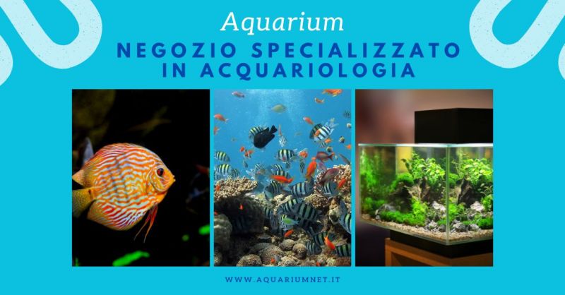 negozio specializzato in acquariologia
