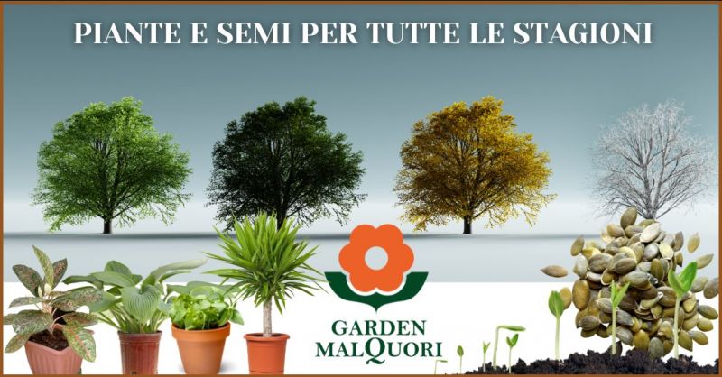 offerta semi e piante per tutte le stagioni Siena - GARDEN MALQUORI