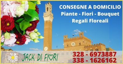  offerta consegna a domicilio piante e fiori a siena jack di fiori