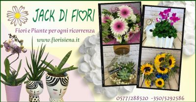  offerta composizioni floreali per cerimonie e ricorrenze jack di fiori