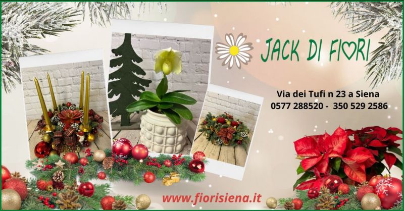 occasione composizioni floreali natalizie e idee regalo Siena - JACK DI FIORI