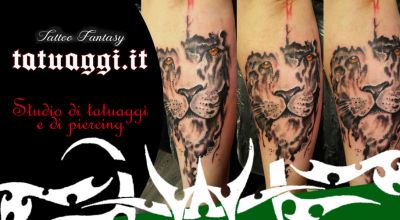 offerta tatuaggio di animali civitanova marche promozione tatuaggio con scritte e disegni civitanova marche