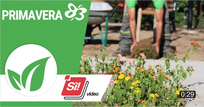 promozione realizzazione giardini privati - offerta gestione del verde pubblico PRIMAVERA 83