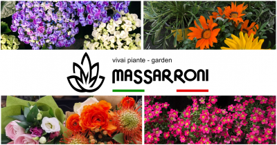 offerta realizzazione giardini perugia occasione vivaio fiori e piante perugia