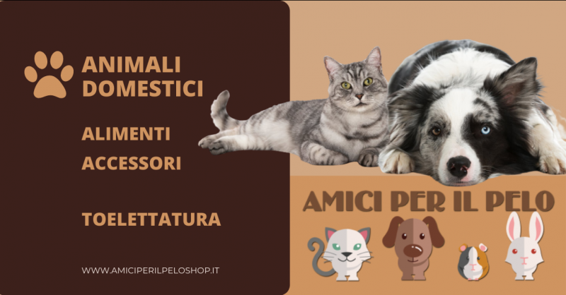Offerta vendita animali domestici Bergamo - promozione vendita accessori per animali Urgnano