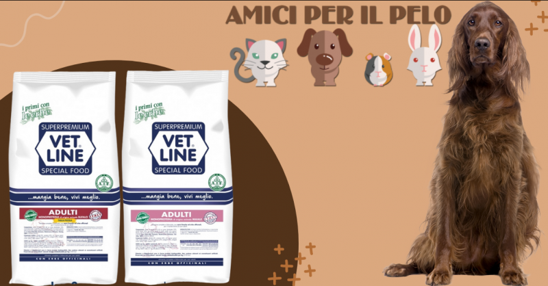 Offerta mangime secco per cani adulti gusto bufalo - occasione Vet Line adulti monoproteico maiale e riso
