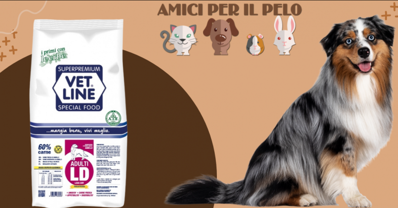 Offerta vendita Vet Line LD agnello Bergamo - occasione alimento semi umido cani adulti Bergamo