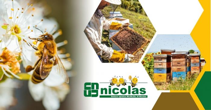 GIUSEPPE Susa foto 11