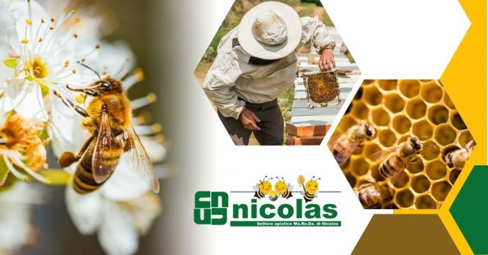 GIUSEPPE Susa foto 8