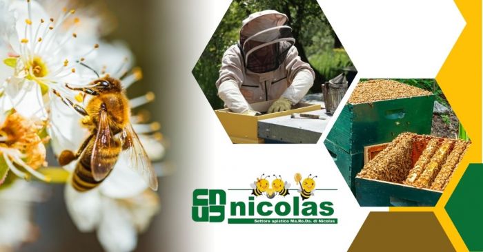 GIUSEPPE Susa foto 10