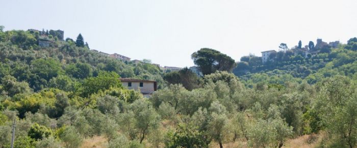 EMANUELA Montecatini-Terme foto 2