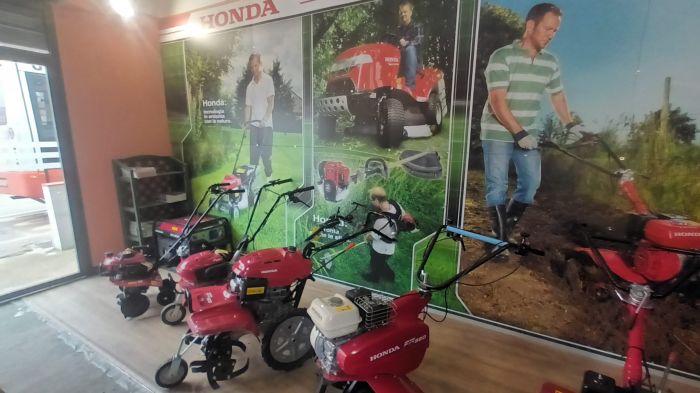 PISTIS Lanusei foto 5