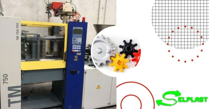 Elvis Torino foto 12