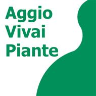 AGGIO VIVAI PIANTE