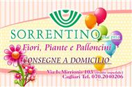 Fioricoltura Sorrentino