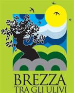 Brezza tra gli Ulivi