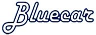 Bluecar Centro Revisioni Veicoli di Ragno Car