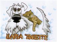 Ilaria Toilette Cani e Gatti