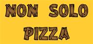 PIZZERIA NON SOLO PIZZA