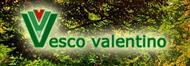 Vesco Valentino snc