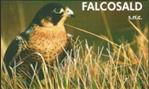 Falcosald