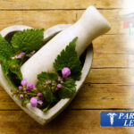 Medicina naturopata consulenze a Imperia: percorsi naturali per il tuo benessere