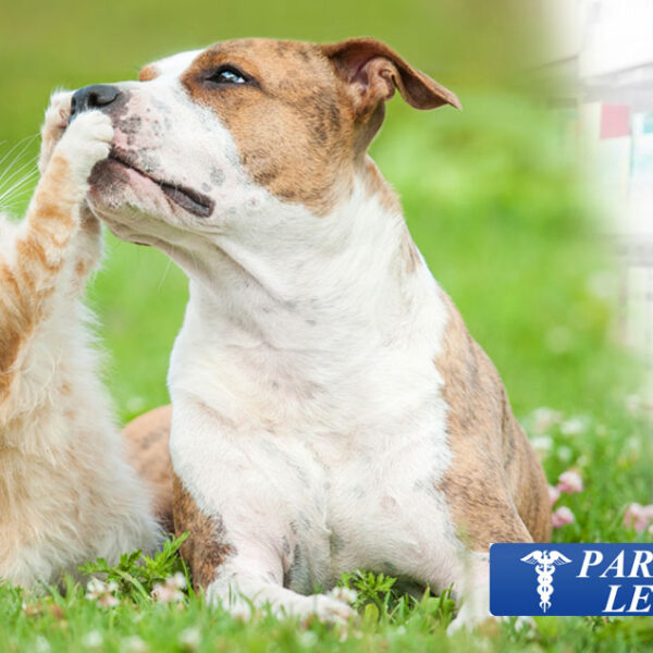 Prodotti e medicinali veterinari a Imperia: cura e benessere per i tuoi animali domestici