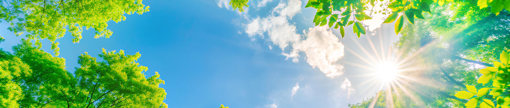 banner-NOE-AUTODEMOLIZIONI-SRL-homepage
